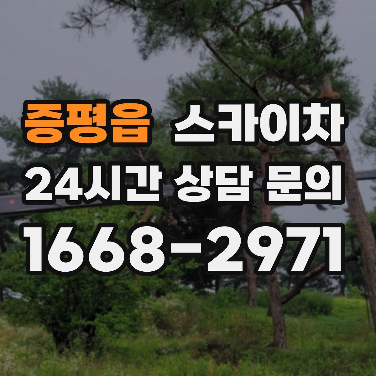 증평읍 스카이차