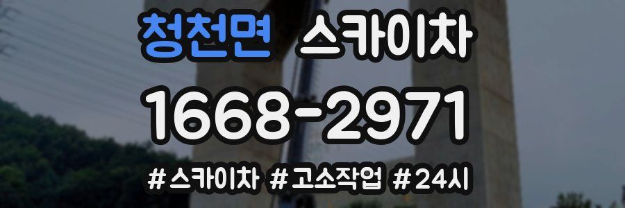 청천면 스카이차