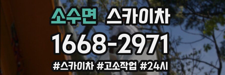 소수면 스카이차