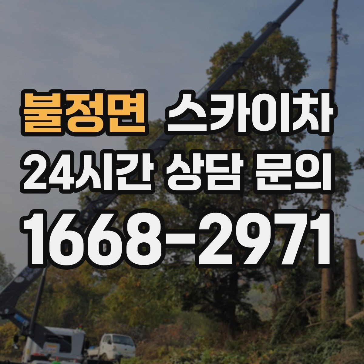 불정면 스카이차 겨울철 간판 조명 점검으로 안전 확보