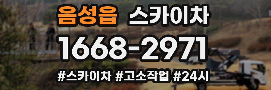 음성읍 스카이차