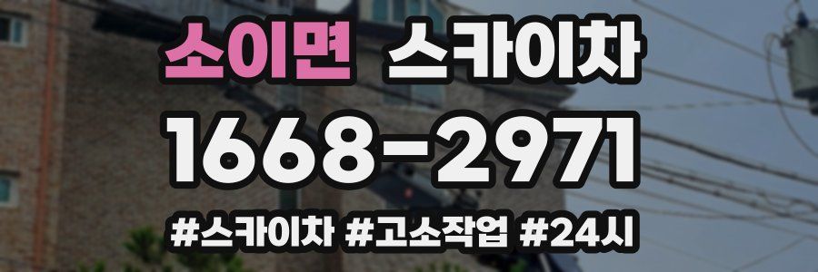 소이면 스카이차