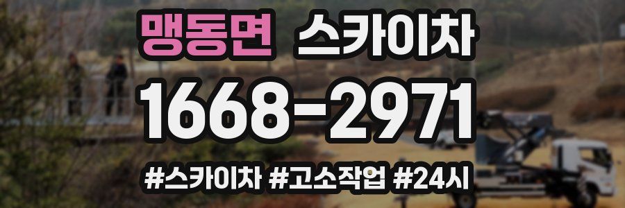 맹동면 스카이차