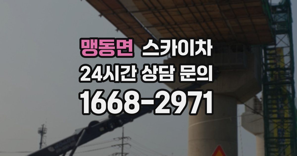 맹동면 스카이차