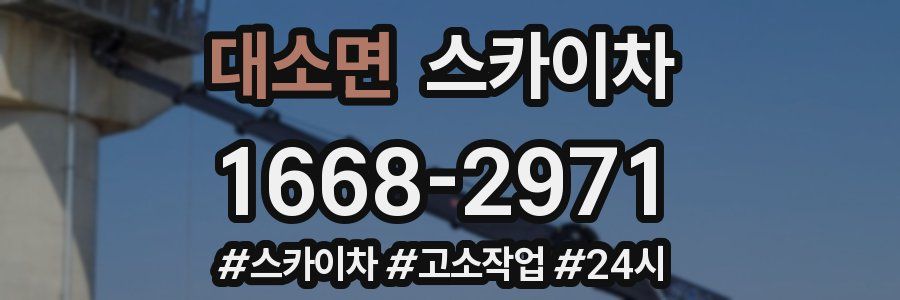 대소면 스카이차