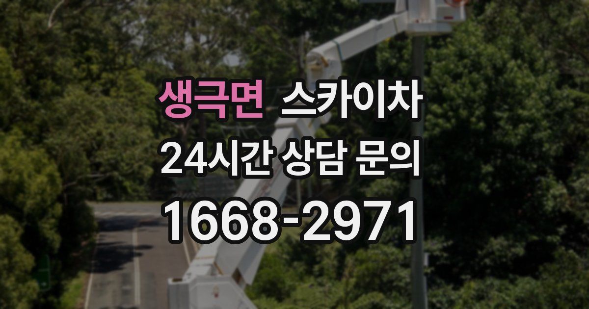 생극면 스카이차