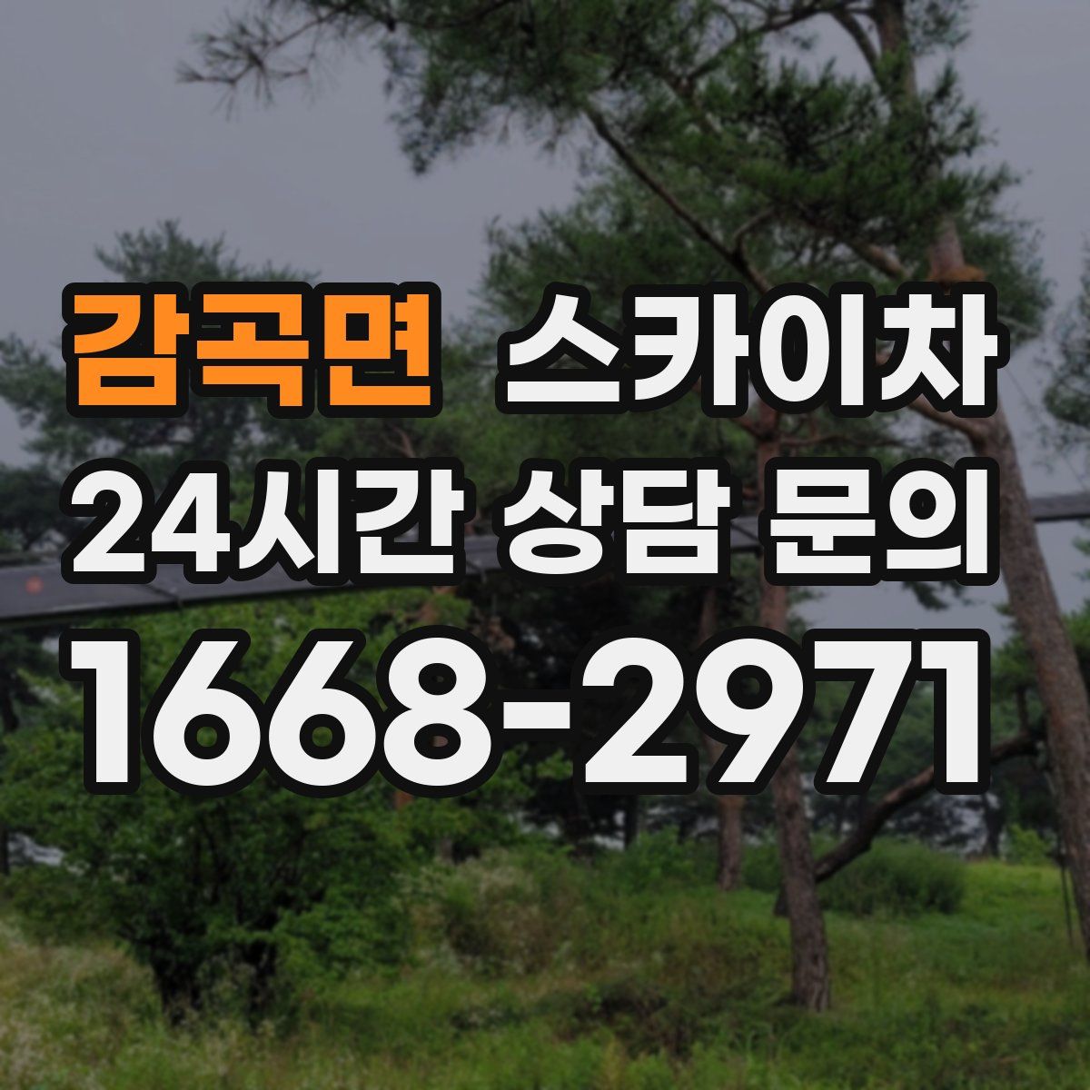 감곡면 스카이차