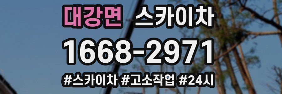 대강면 스카이차