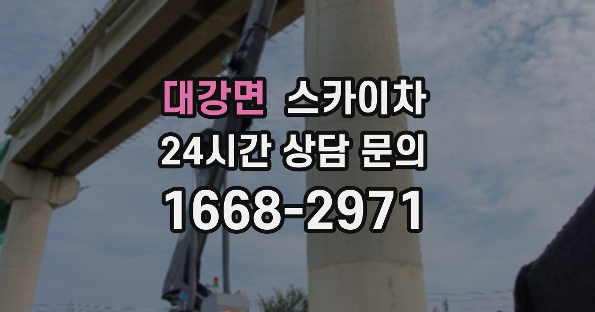 대강면 스카이차