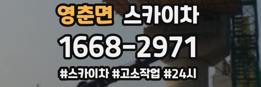 영춘면 스카이차