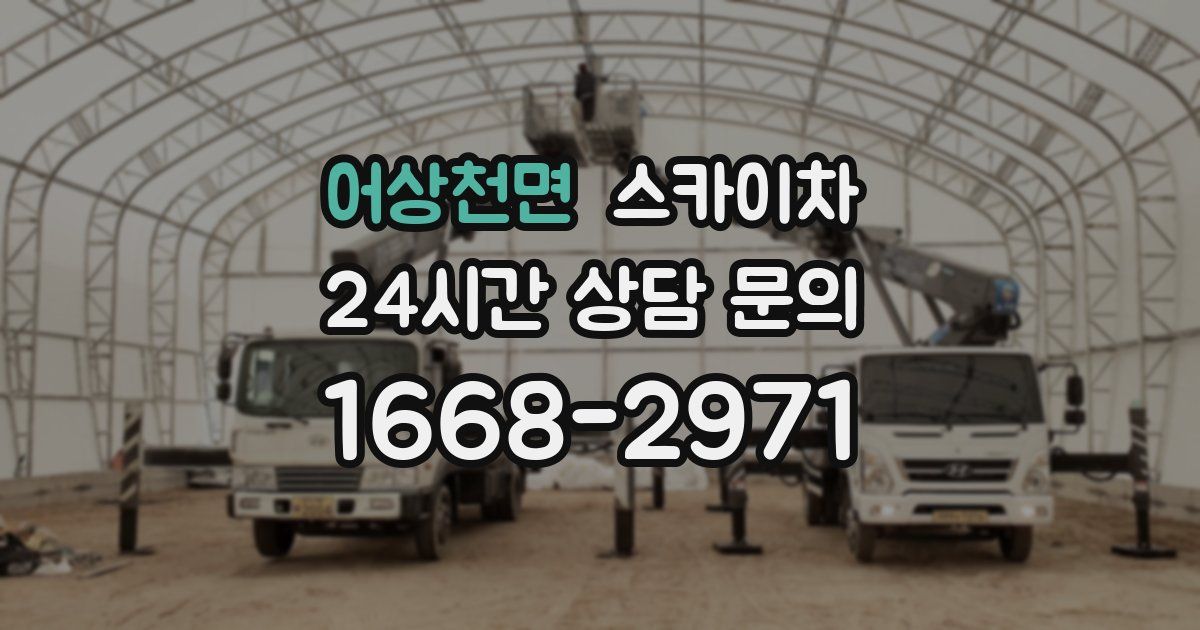 어상천면 스카이차