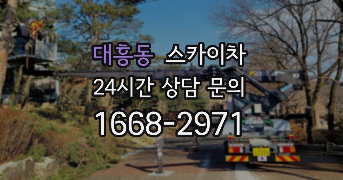 대흥동 스카이차