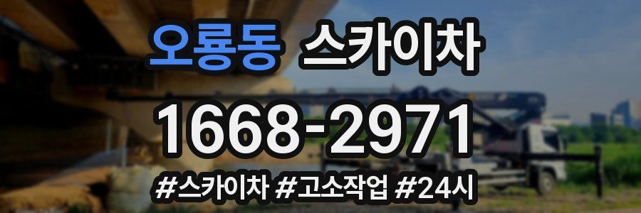 오룡동 스카이차