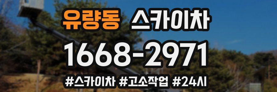 유량동 스카이차