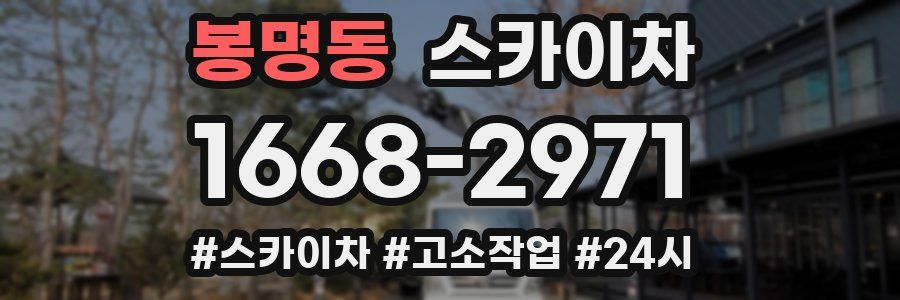 봉명동 스카이차