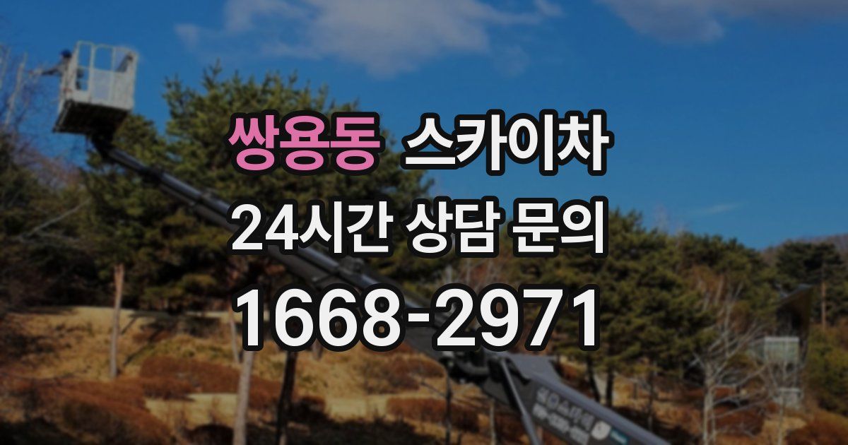 쌍용동 스카이차