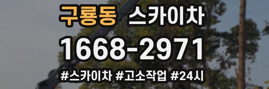 구룡동 스카이차