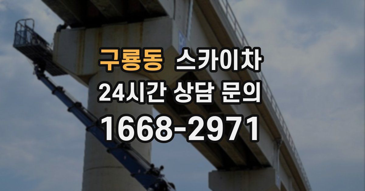 구룡동 스카이차