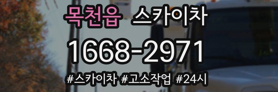 목천읍 스카이차