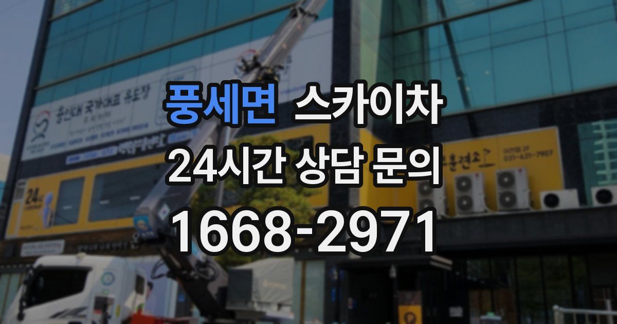 풍세면 스카이차