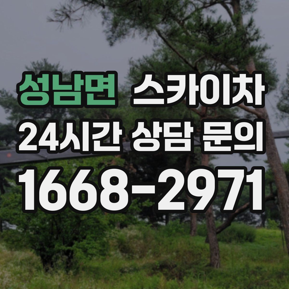 성남면 스카이차