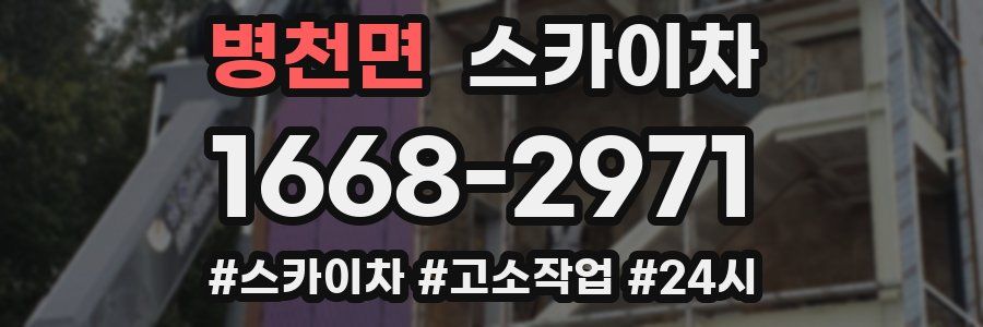 병천면 스카이차