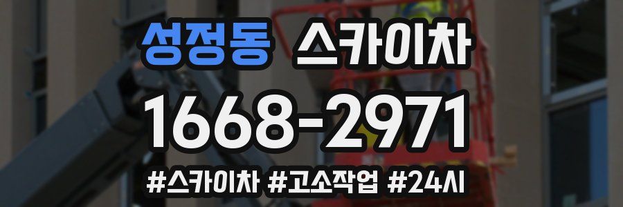 성정동 스카이차