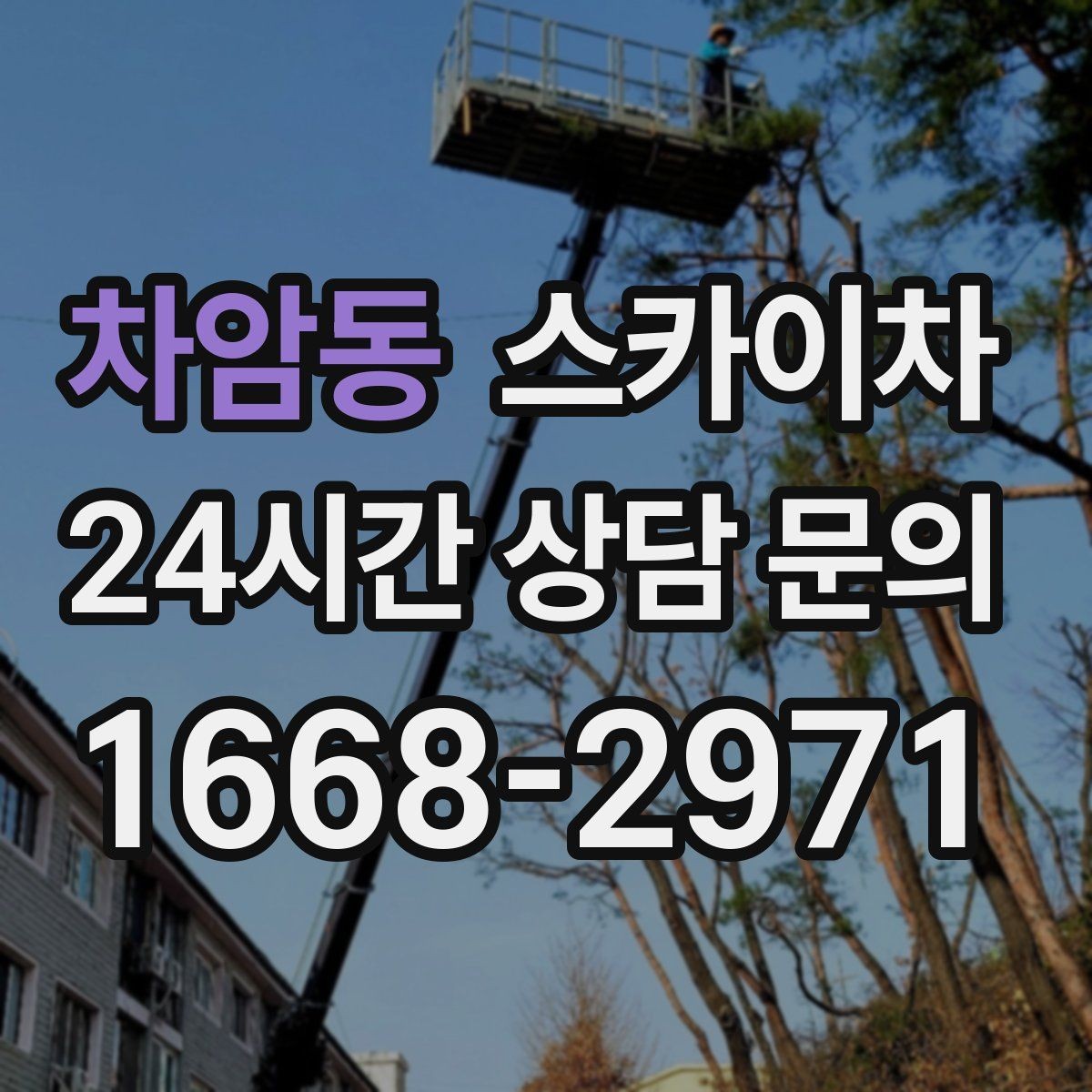 차암동 스카이차 처음 이용할 때 질문과 답변 정리