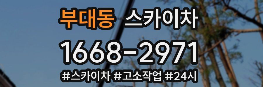 부대동 스카이차