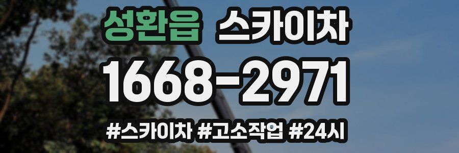 성환읍 스카이차