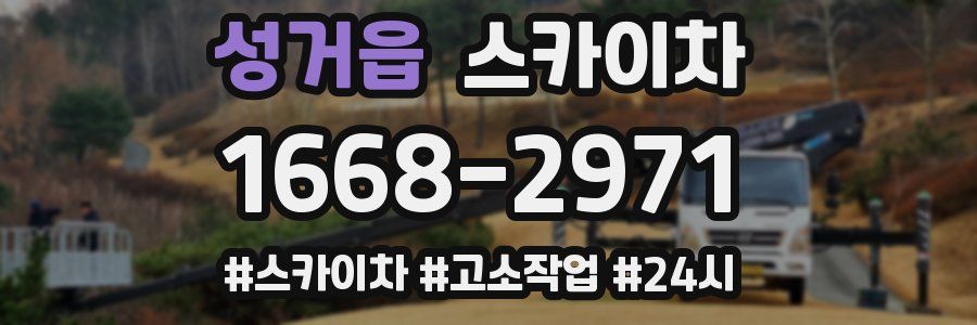 성거읍 스카이차