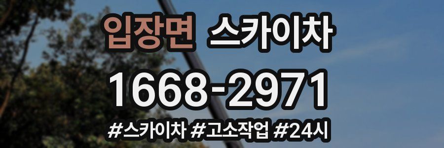 입장면 스카이차