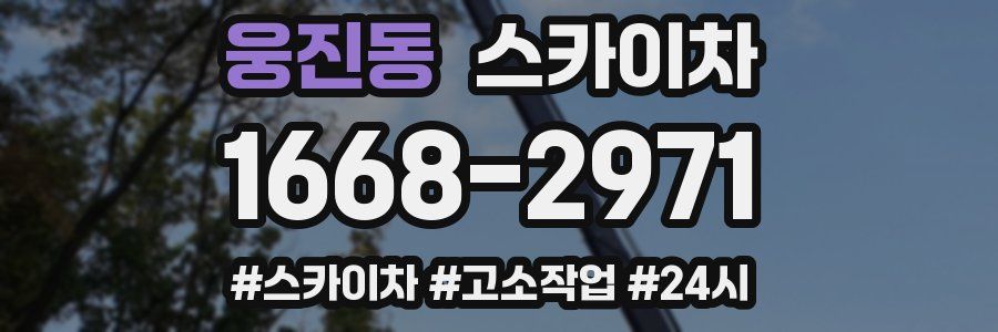 웅진동 스카이차