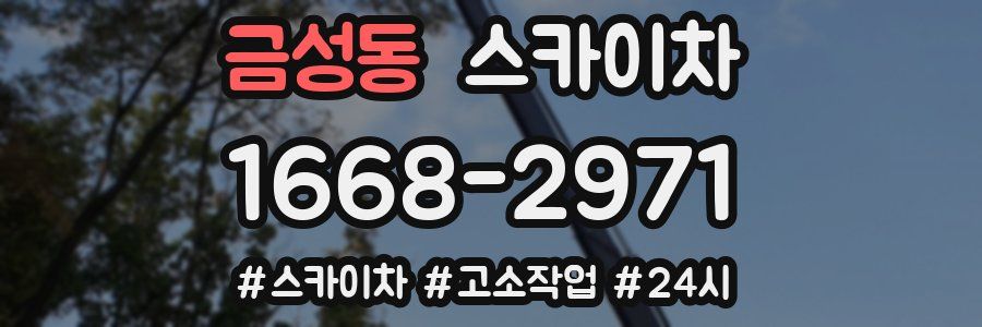 금성동 스카이차