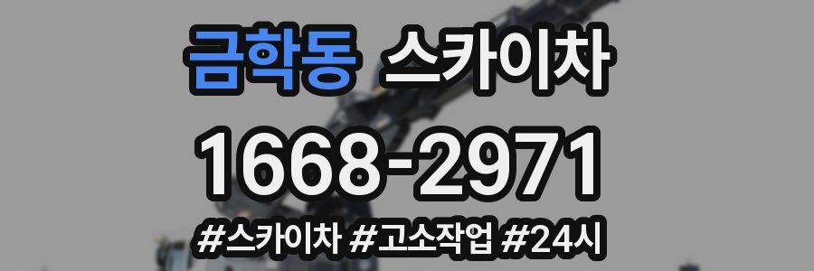 금학동 스카이차