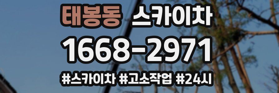 태봉동 스카이차