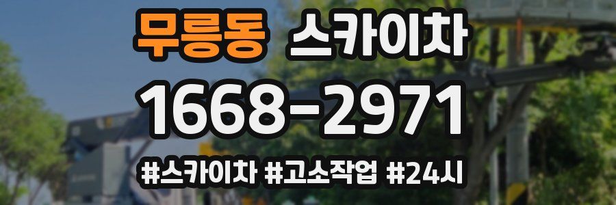 무릉동 스카이차