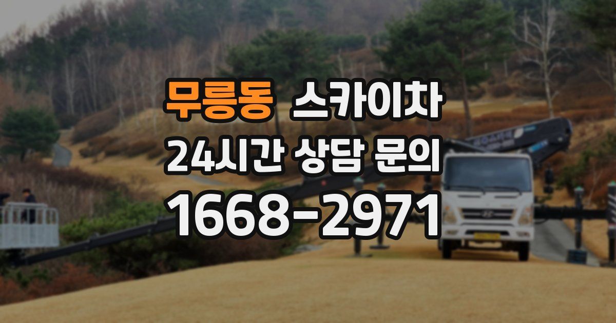 무릉동 스카이차