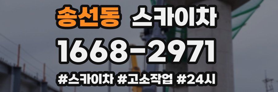 송선동 스카이차