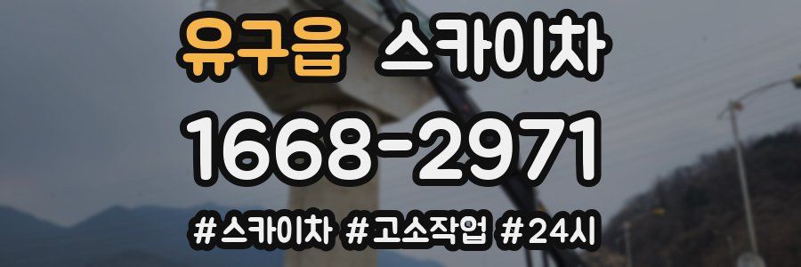 유구읍 스카이차