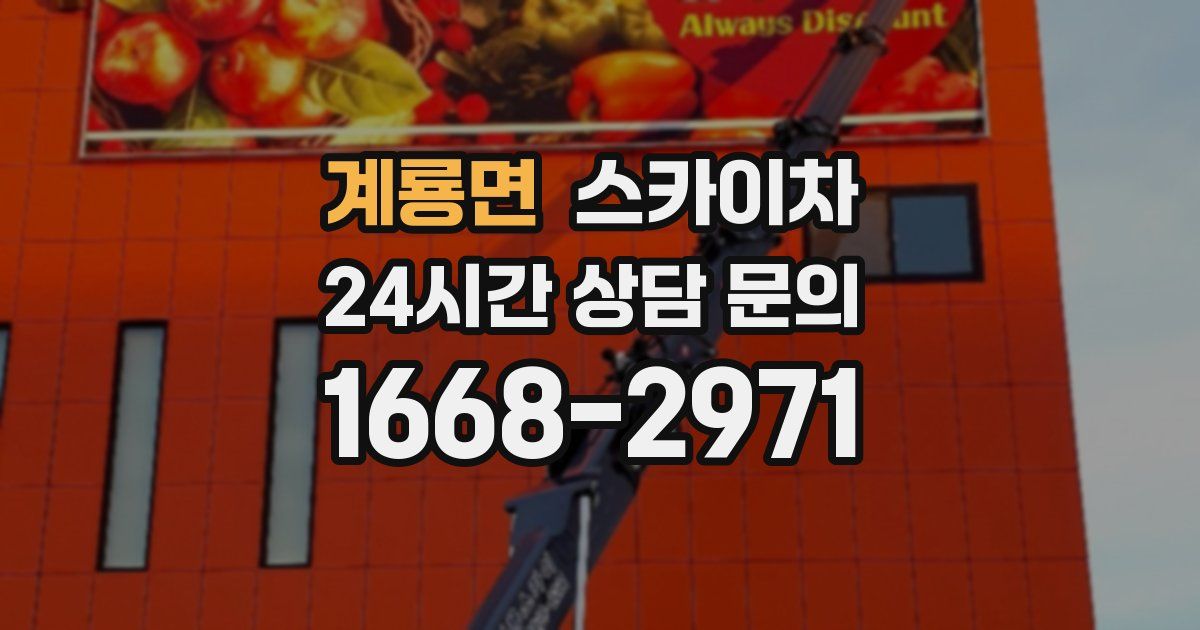 계룡면 스카이차