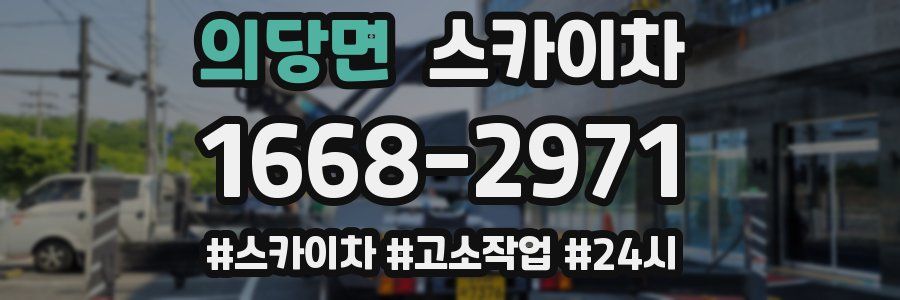 의당면 스카이차