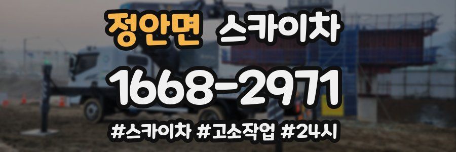 정안면 스카이차