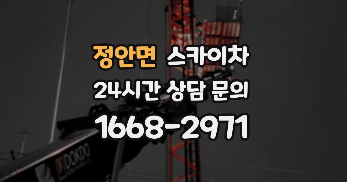 정안면 스카이차