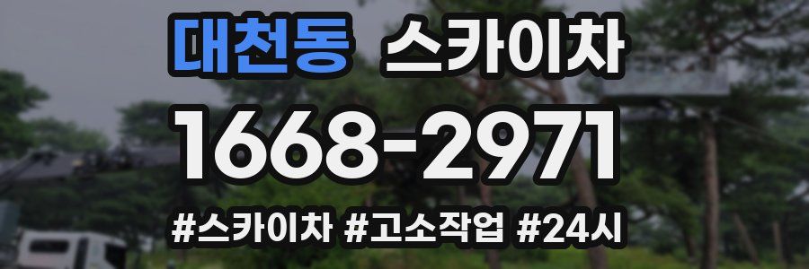 대천동 스카이차