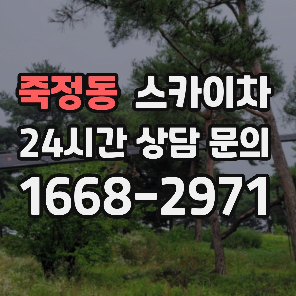 죽정동 스카이차 높이와 작업 시간에 따른 비용 기준