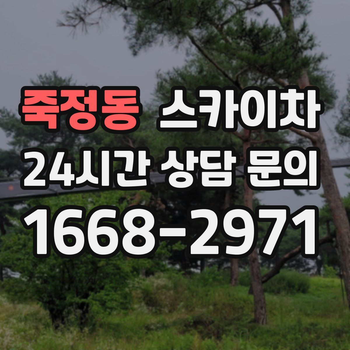 죽정동 스카이차