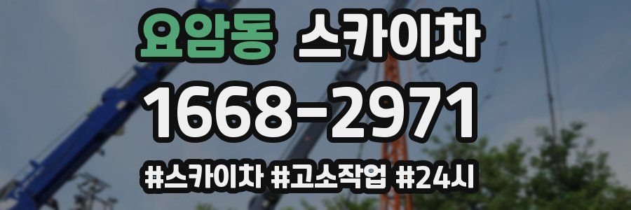 요암동 스카이차