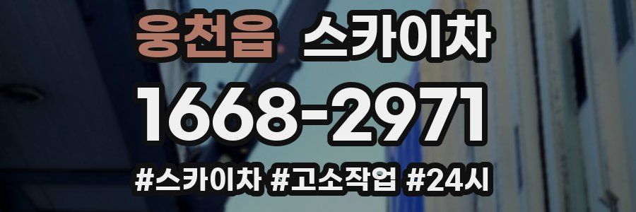 웅천읍 스카이차