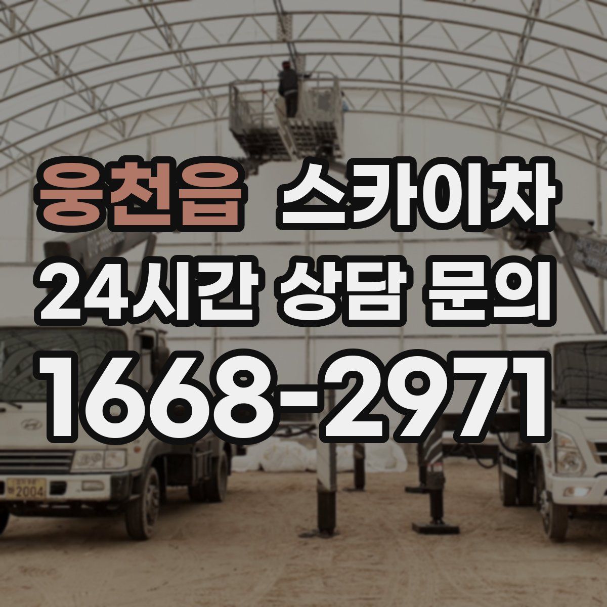 웅천읍 스카이차